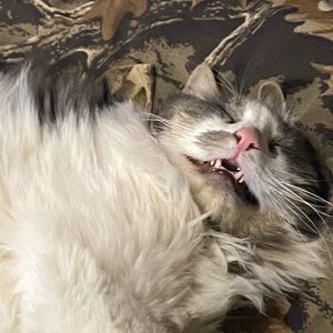 Meet your Posher, Chelsea